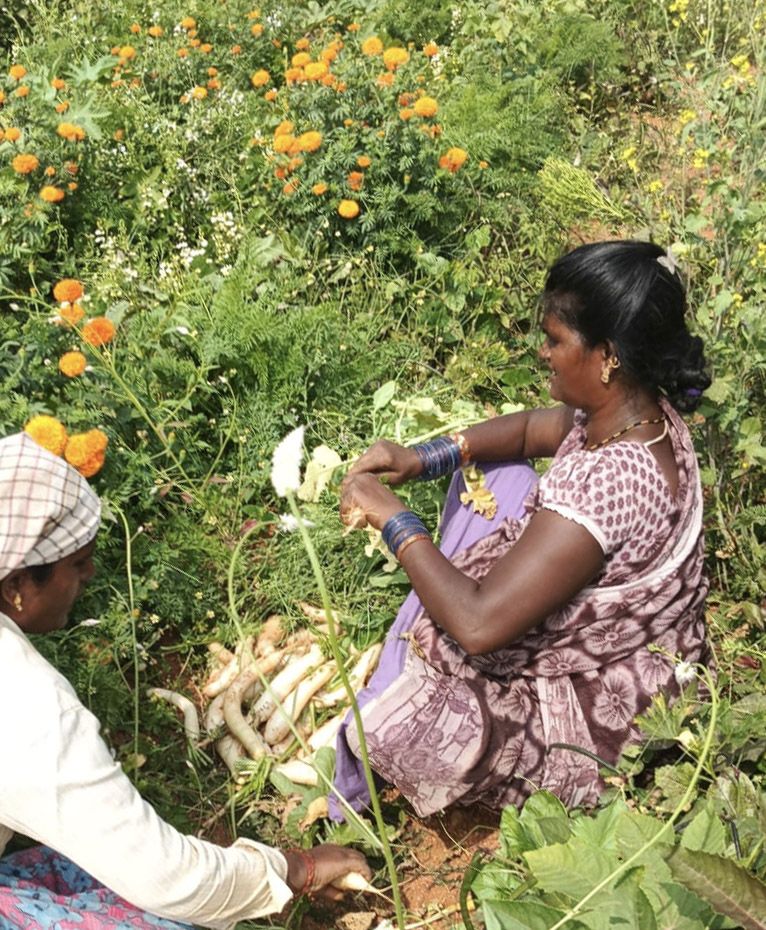 Any Time Money from Agriculture